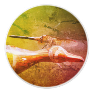 Dragonfly Co Pilot Insekt Abstrakt Grunge Keramikknauf