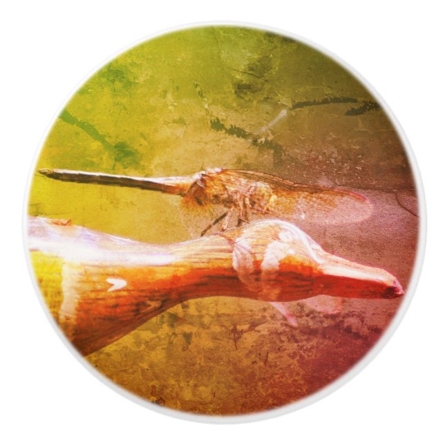 Dragonfly Co Pilot Insekt Abstrakt Grunge  Keramikknauf (Vorderseite)