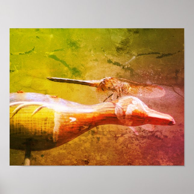 Dragonfly Co Pilot Insekt Abstrakt Grunge Poster (Vorne)