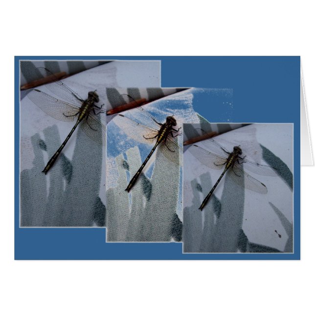 Dragonfly Collage (Vorderseite (Horizontal))