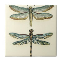 Dragonfly Collection von Chariklia Zarris