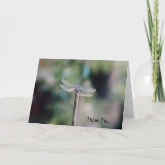 Dragonfly Danke Karte