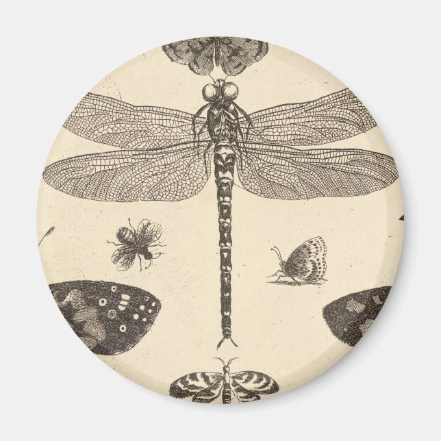 Dragonfly ( Detail) Vintage Kunst Magnet (Vorne)