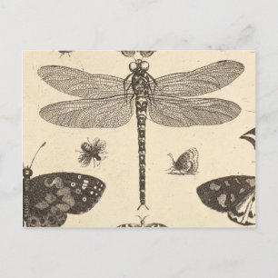 Dragonfly ( Detail) Vintage Kunst Postkarte