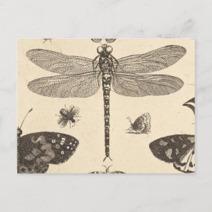 Dragonfly ( Detail) Vintage Kunstwelt Postkarte