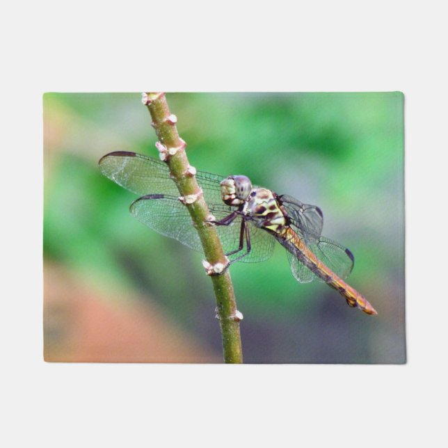 Dragonfly Doormat Fußmatte (Vorderseite)