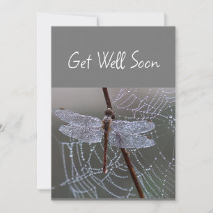 Dragonfly-Drachenfliegen werden bald gut Karte