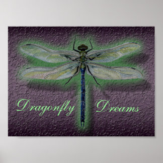 Dragonfly Dreams Poster
