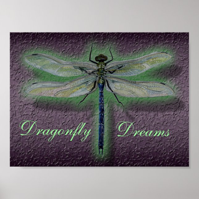 Dragonfly Dreams Poster (Vorne)