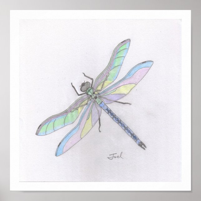 DRAGONFLY-Druck (11 "x11") Poster (Vorne)