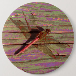 Dragonfly farbenfroh button