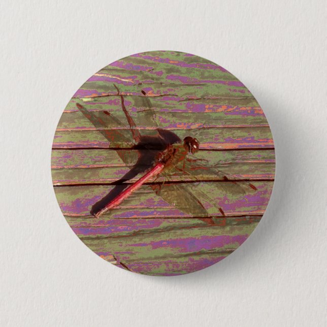 Dragonfly farbenfroh button (Vorderseite)