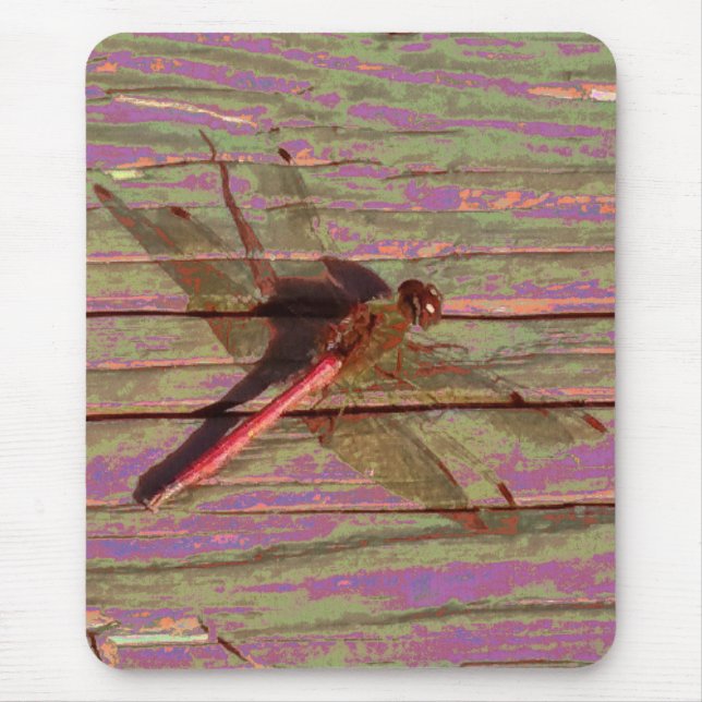 Dragonfly farbenfroh mousepad (Vorne)