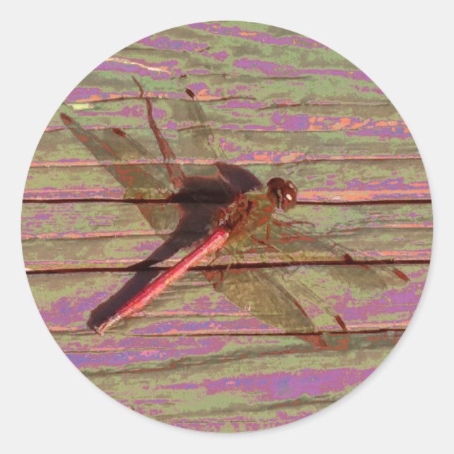 Dragonfly farbenfroh runder aufkleber (Vorderseite)