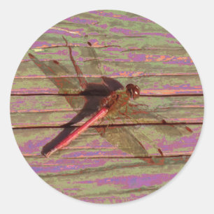 Dragonfly farbenfroh runder aufkleber