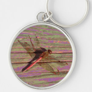 Dragonfly farbenfroh schlüsselanhänger