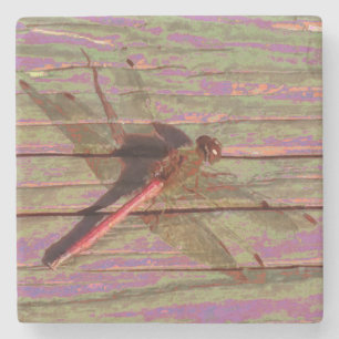 Dragonfly farbenfroh steinuntersetzer