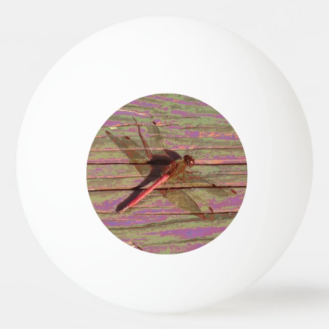 Dragonfly farbenfroh tischtennisball (Vorderseite)