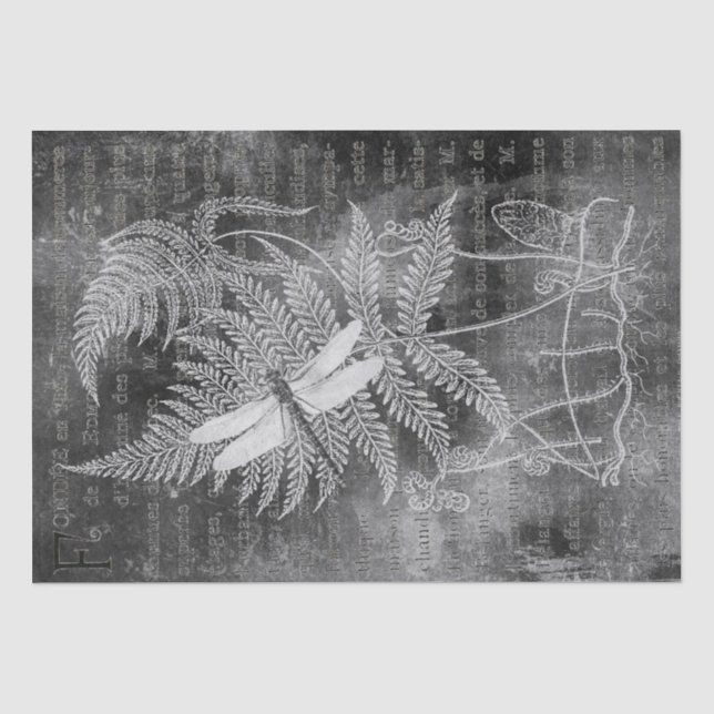 Dragonfly Fern French Grunge Chalkboard Decoupage Seidenpapier (Vorderseite)