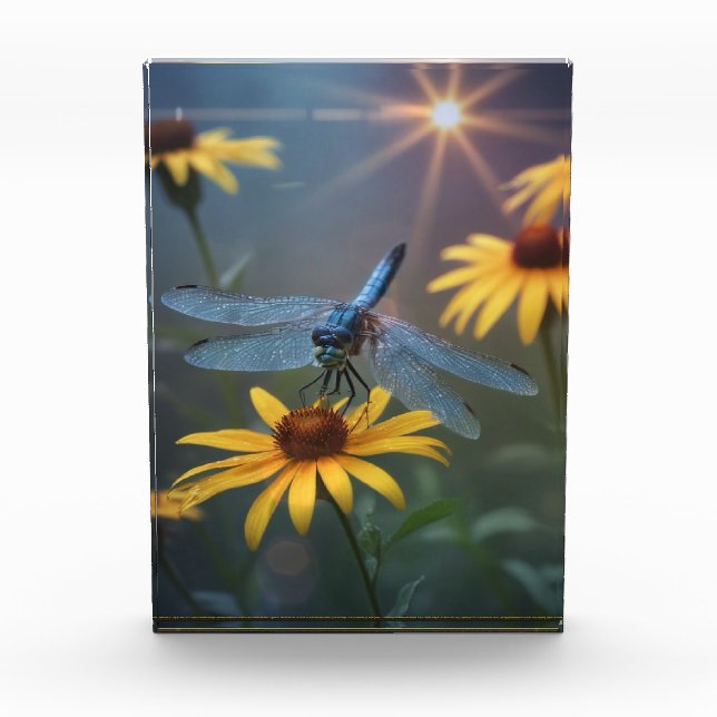 Dragonfly-Foto Fotoblock (Vorderseite)