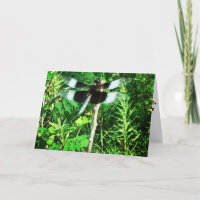 "Dragonfly" Get Well Card