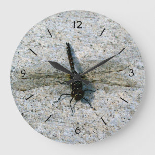 Dragonfly Große Wanduhr
