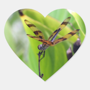Dragonfly - Halloween Penant Herz-Aufkleber