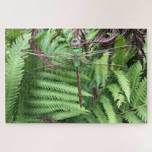 Dragonfly in Garden Difficult 1014 Piece Puzzle (Horizontal)