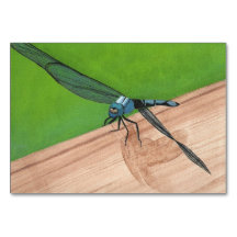 Dragonfly-Insekt-Lesekarten