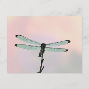Dragonfly-Ionenpasten Postkarte