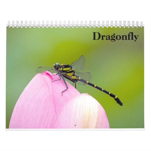 Dragonfly-Kalender 2025 Kalender (Titelbild)