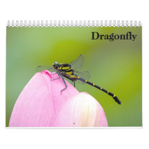 Dragonfly-Kalender 2025 Kalender