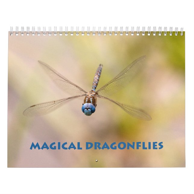 Dragonfly-Kalender Kalender (Titelbild)
