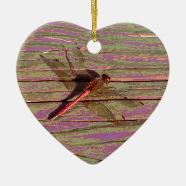 Dragonfly Keramik Ornament (Vorne)