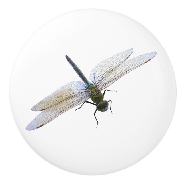 Dragonfly Keramikknauf (Vorderseite)