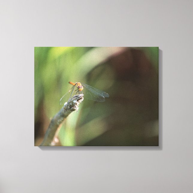 Dragonfly Leinwanddruck (Vorderseite)