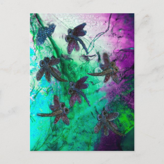 Dragonfly Magic Postkarte (Vorderseite)