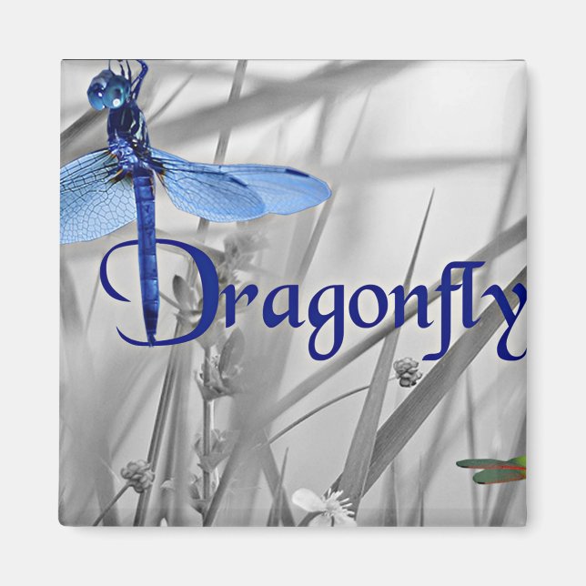 Dragonfly Magnet (Vorne)
