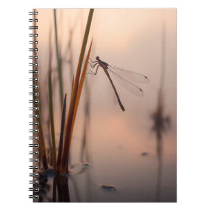 Dragonfly-Misty-Dawn-Notebook Notizblock