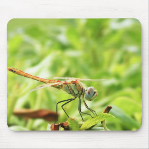 Dragonfly Mousepad