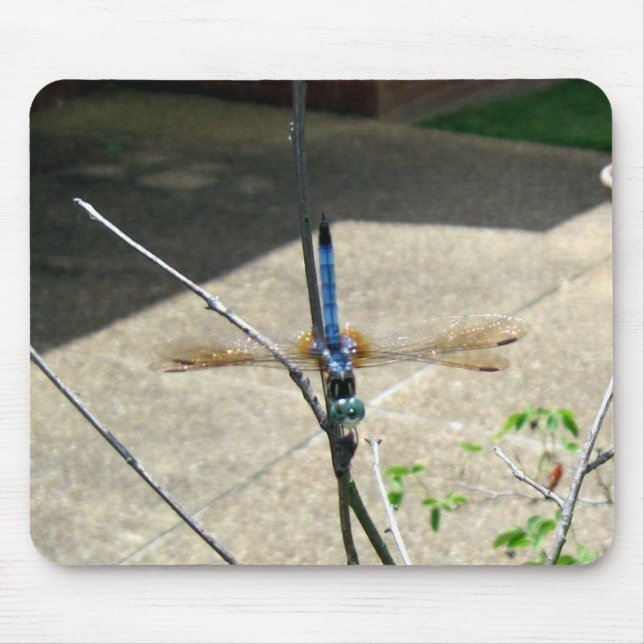 Dragonfly Mousepad (Vorne)