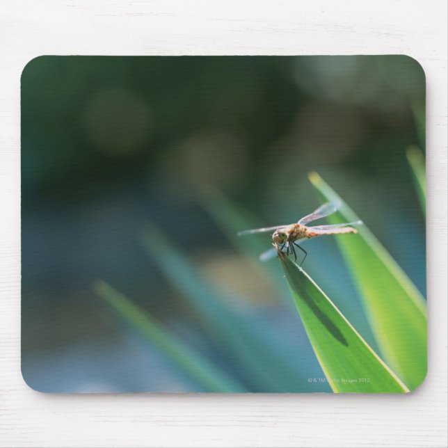 Dragonfly Mousepad (Vorne)