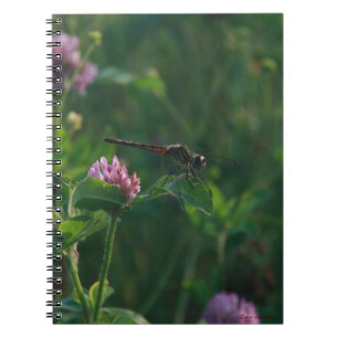 Dragonfly-Notebook Notizblock