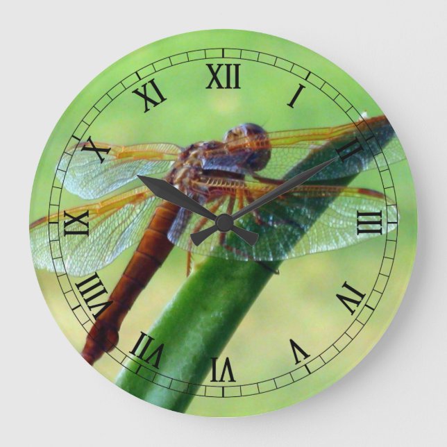 Dragonfly on Aloe Macro Wall Horloge (Recto)