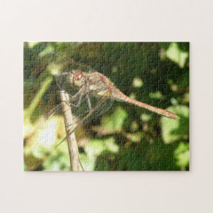 Dragonfly on the Twig Puzzle