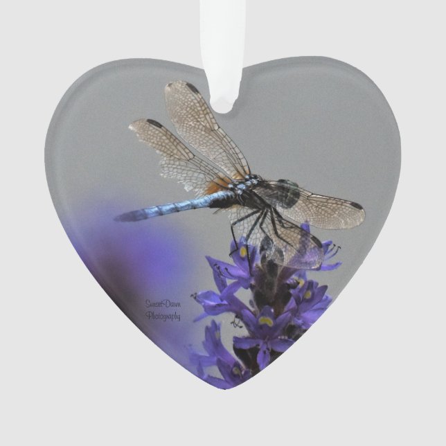 Dragonfly-Ornament Ornament (Vorderseite)