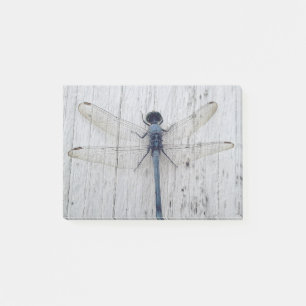Dragonfly Post-it Klebezettel