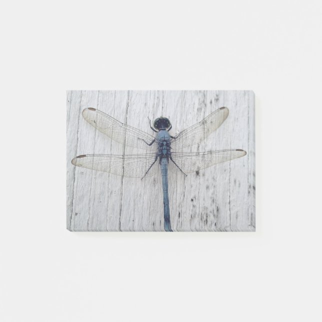 Dragonfly Post-it Klebezettel (Vorderseite)