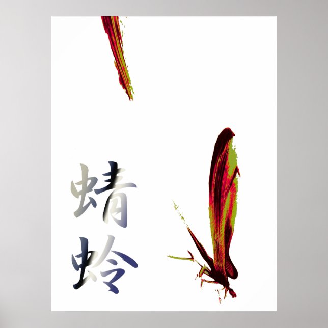 Dragonfly Poster (Vorne)