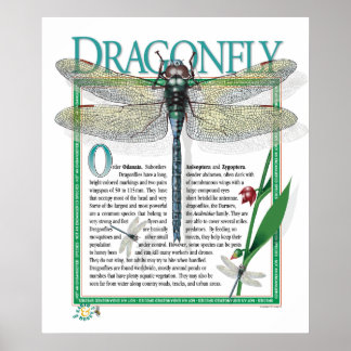 Dragonfly Poster